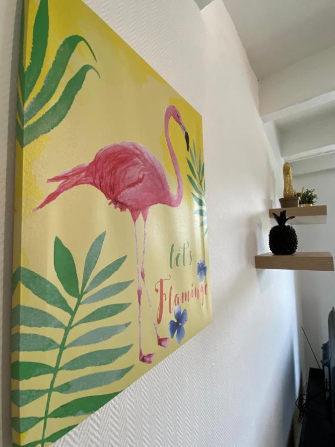 Apartmán Les Cosy De Nancy - Le Duplex Aux Flammants Roses - 4Etoiles Exteriér fotografie